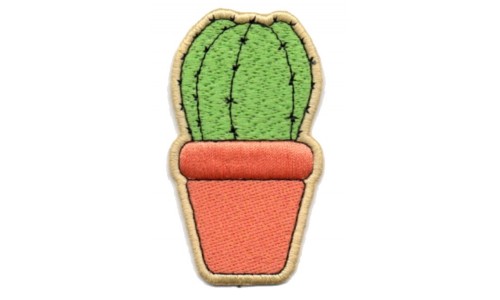 Pianta Cactus